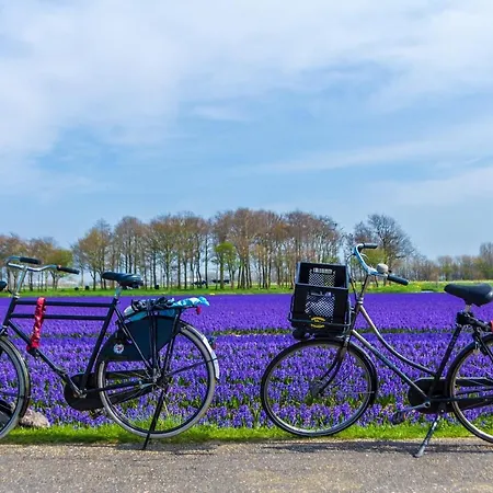Bed & Breakfast Slapen Bij De Buurvrouw