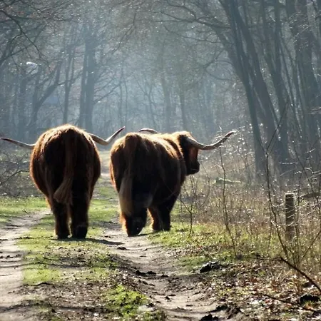 Bed & Breakfast Slapen Bij De Buurvrouw 3*