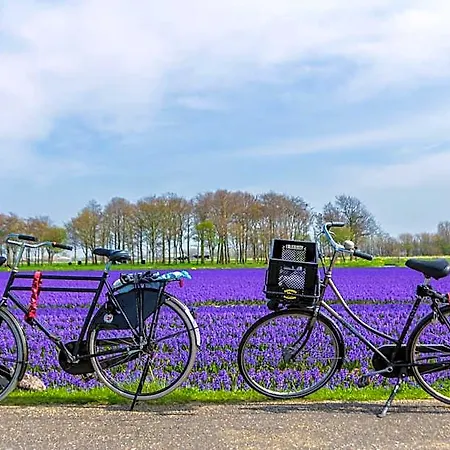 Slapen Bij De Buurvrouw